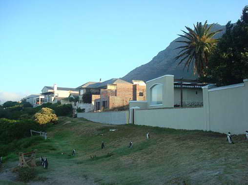 112 Houses (and penguins) along the coast