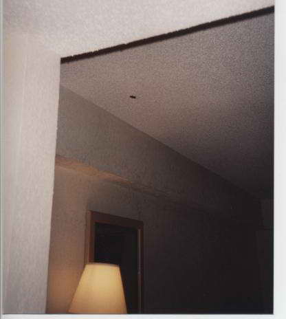 The dark spot on the ceiling is an uninvited guest -- a roach.